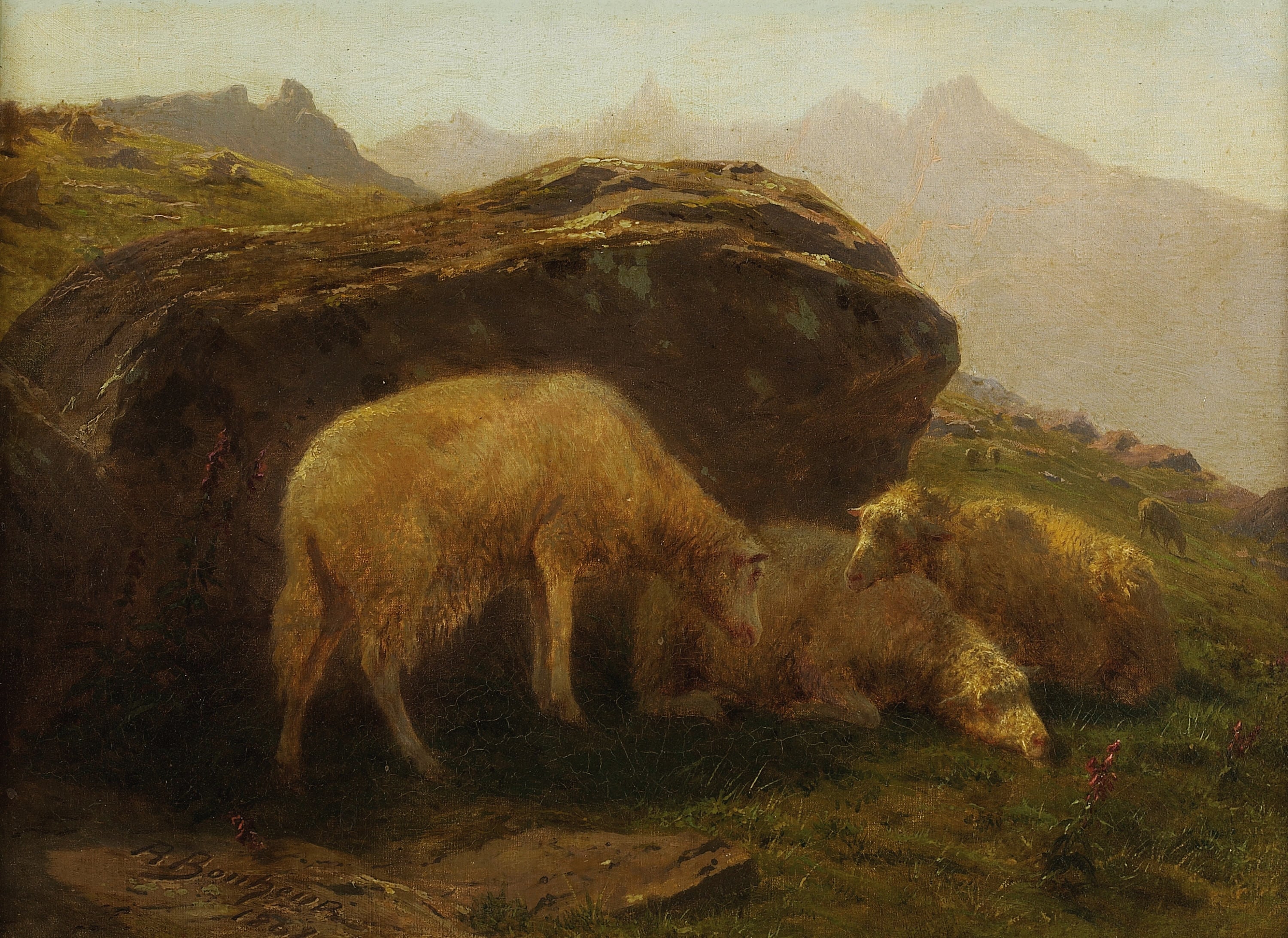 Les moutons sur une colline - Rosa Bonheur