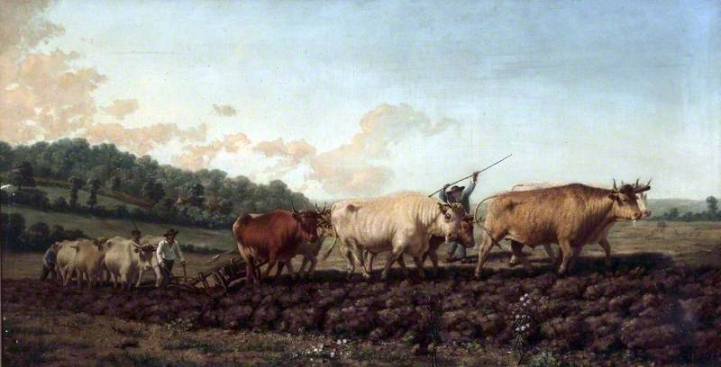 Labour dans le Nivernais - Rosa Bonheur