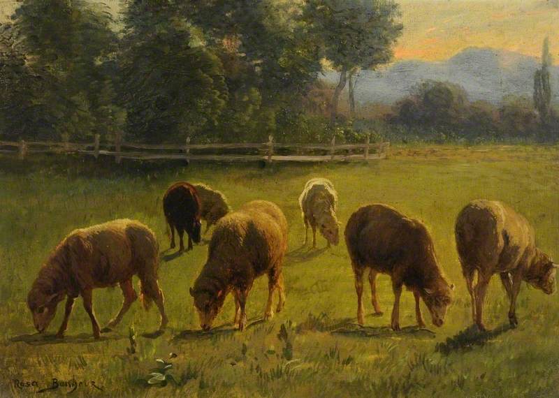 Moutons dans un paysage - Rosa Bonheur