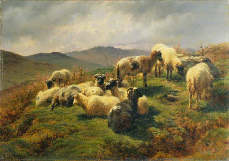 Moutons dans les Highlands - Rosa Bonheur