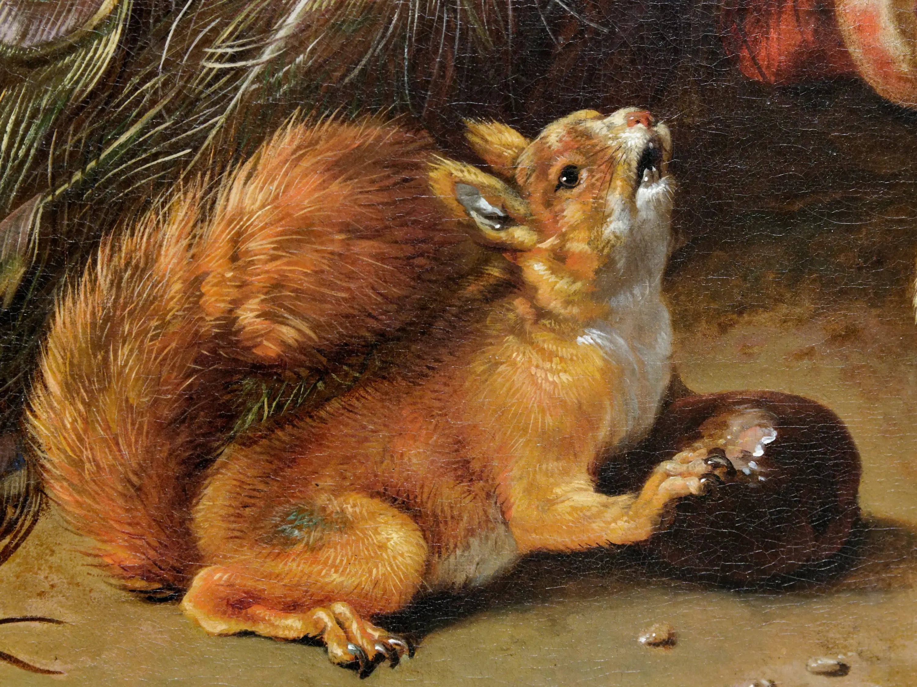 Paons - Melchior de Hondecoeter - Alpha Reproduction