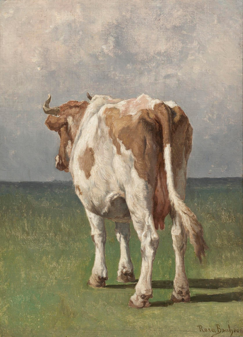 Étude d'une vache - Rosa Bonheur