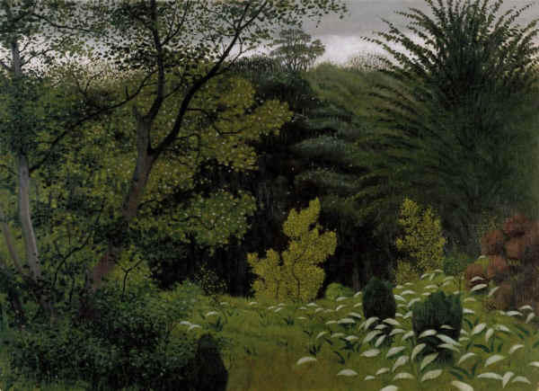 Sous-bois - Félix Vallotton