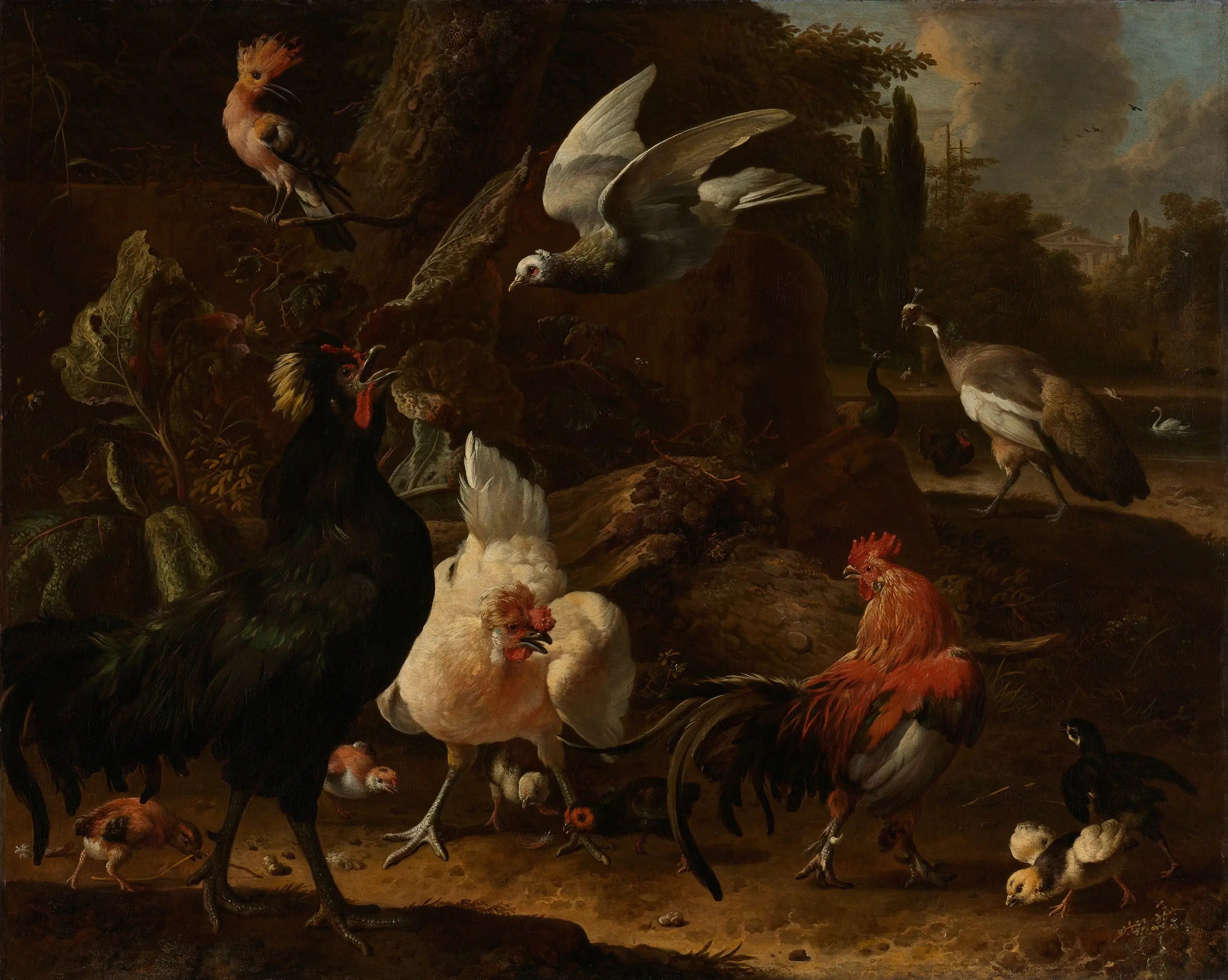 Oiseaux dans un parc - Melchior de Hondecoeter - Alpha Reproduction
