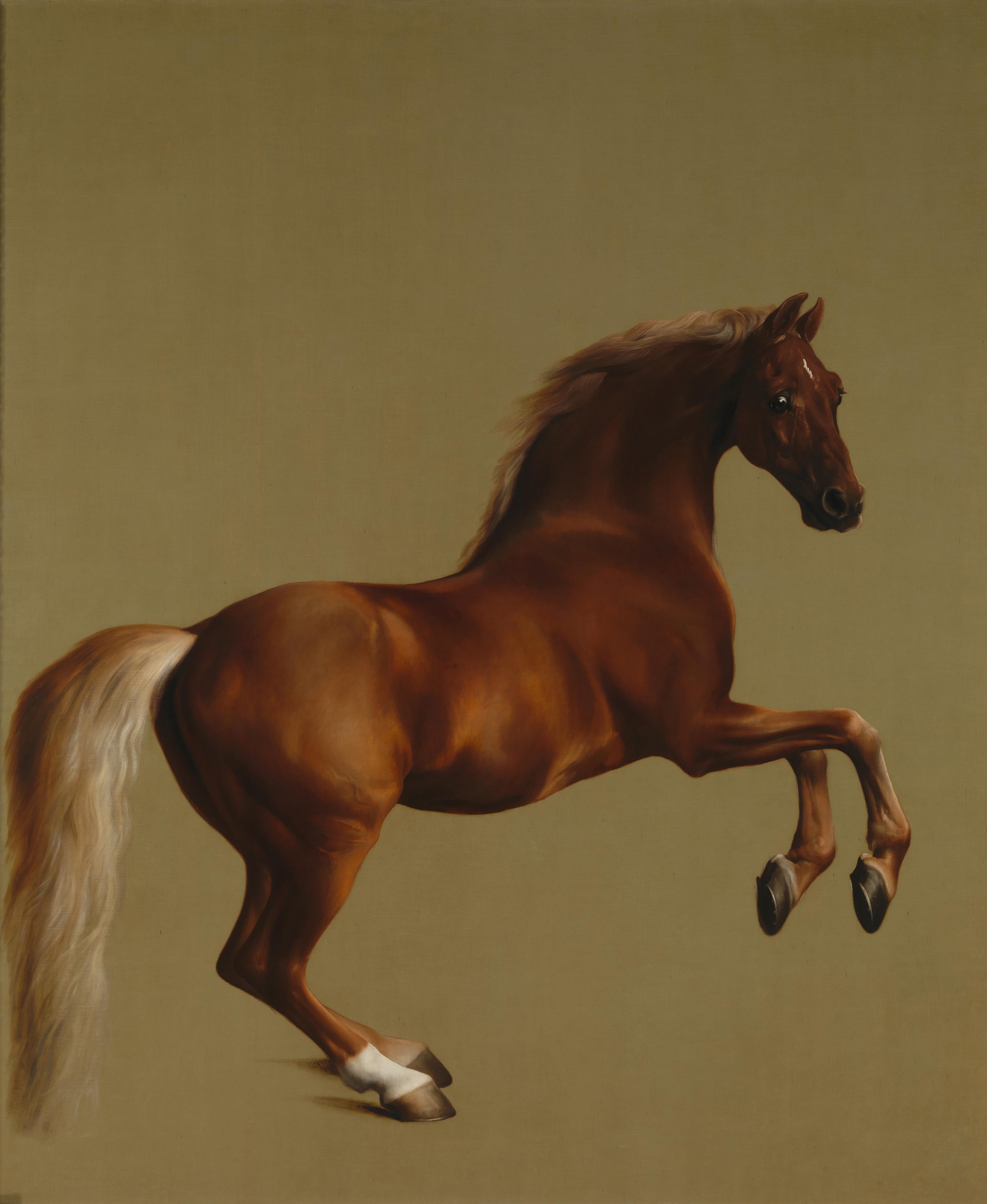 Veste sifflante - George Stubbs