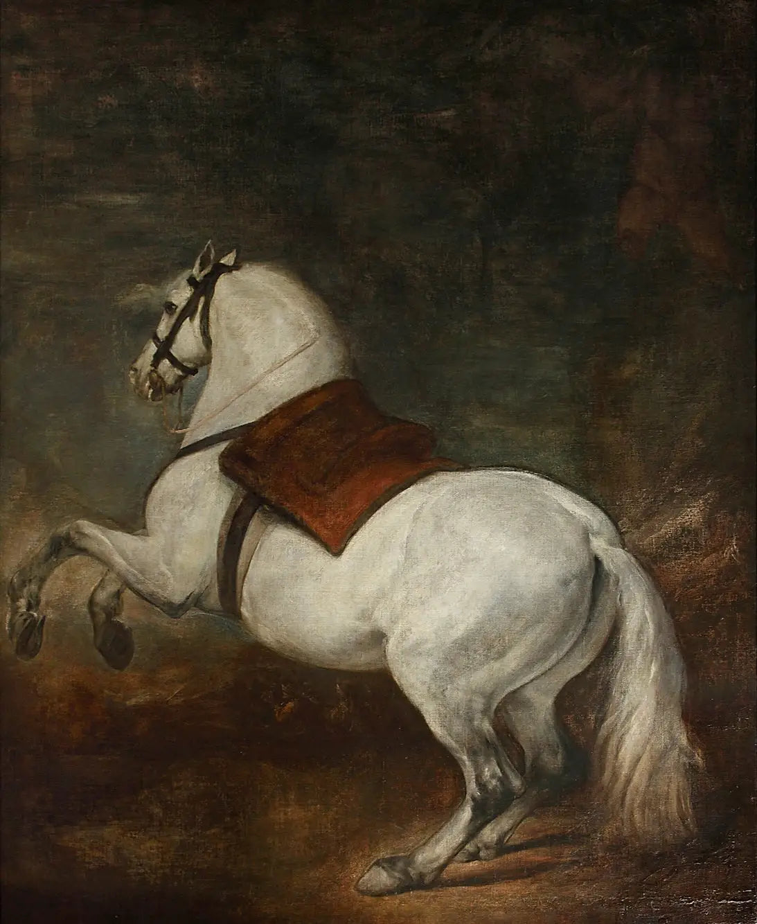 Cheval blanc - Diego Velázquez - Alpha Reproduction