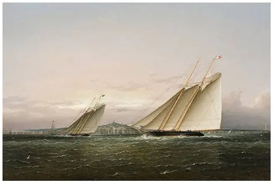 Course de yachts dans le port de Boston. - James E. Buttersworth - Alpha Reproduction