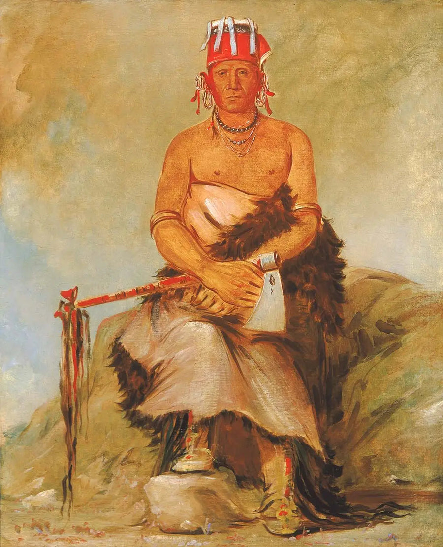 알파 재현 - 유화 그림 복제, 고전 명화 프린트, 인테리어 벽화, 선물용 액자, 고품질 아트 프린트

Source:
A'h-sha-la-cóots-ah, grain de beauté sur le front, chef des républicains Pawnee - George Catlin