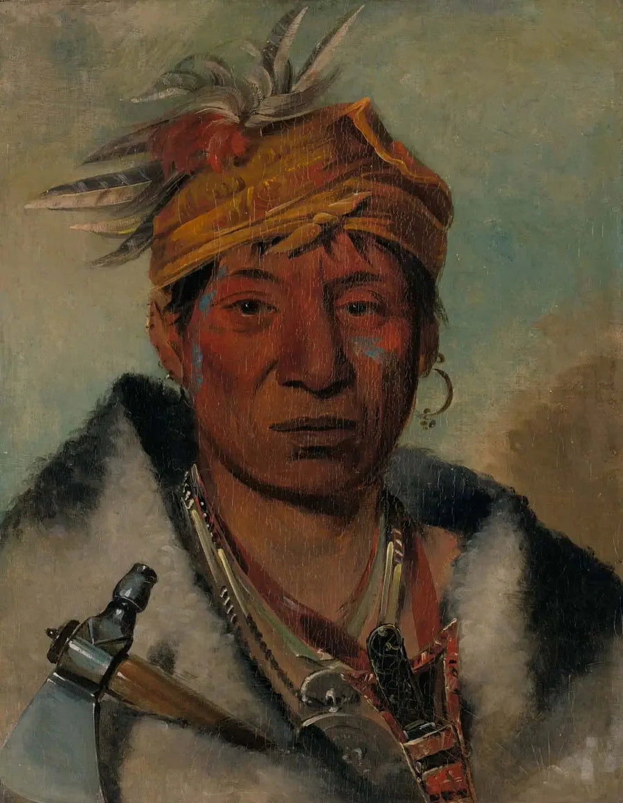 알파 재생산 - 유화 그림 복제품

Source:
Ah-yaw-ne-tak-oár-ron, un guerrier - George Catlin