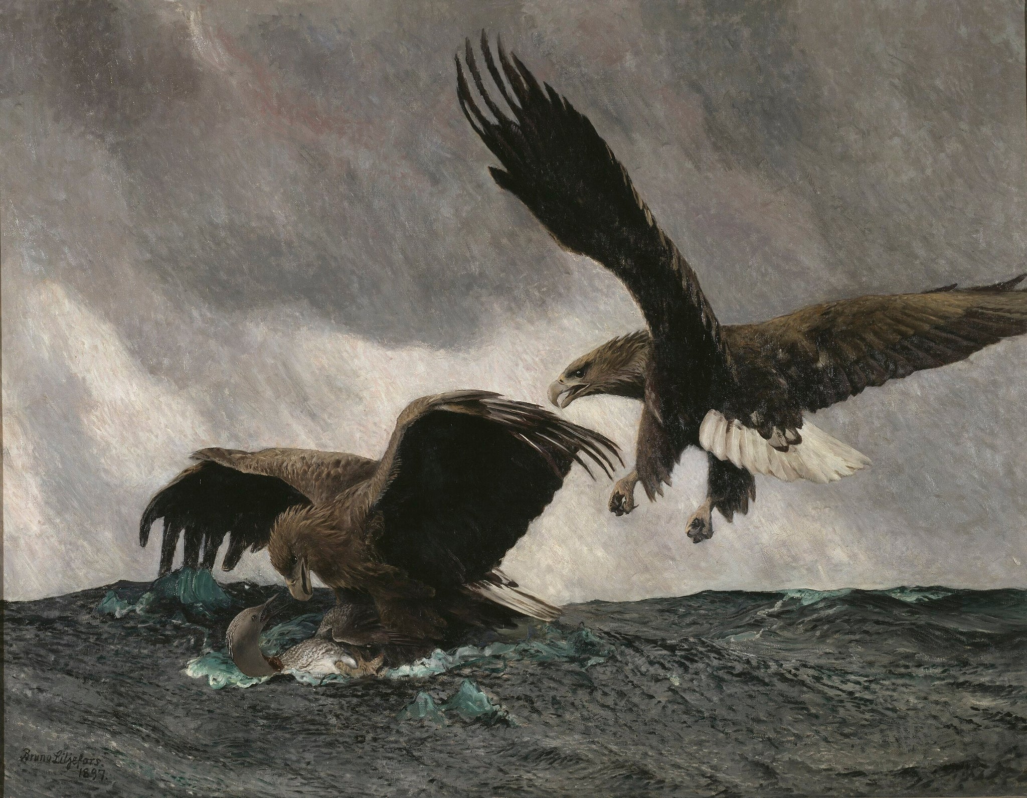 Aigles de mer - Bruno Liljefors image 1 copie peinte à la main à l’huile