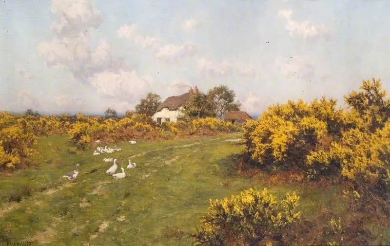 버크셔(Bucklebury Common)의 공공 토지에 심어진 금잔화 - 에드워드 윌킨스 웨이트

Source:
Ajoncs sur un terrain communal du Berkshire (Bucklebury Common) - Edward Wilkins Waite