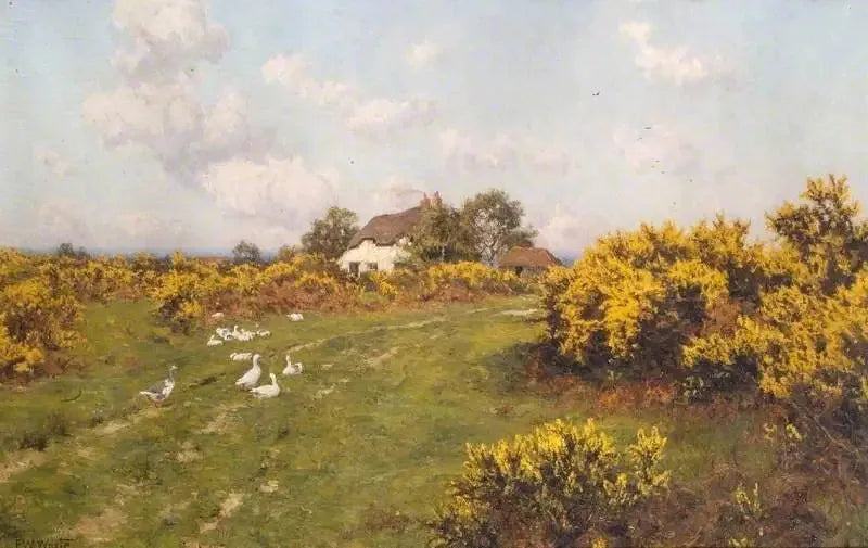 버크셔(Bucklebury Common)의 공공 토지에 심어진 금잔화 - 에드워드 윌킨스 웨이트

Source:
Ajoncs sur un terrain communal du Berkshire (Bucklebury Common) - Edward Wilkins Waite