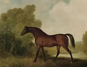 앰브로시오, 흰색 말의 수컷, 토마스 호워스 소유 - 조지 스터브스

Source:
Ambrosio, un étalon bai, propriété de Thomas Haworth - George Stubbs