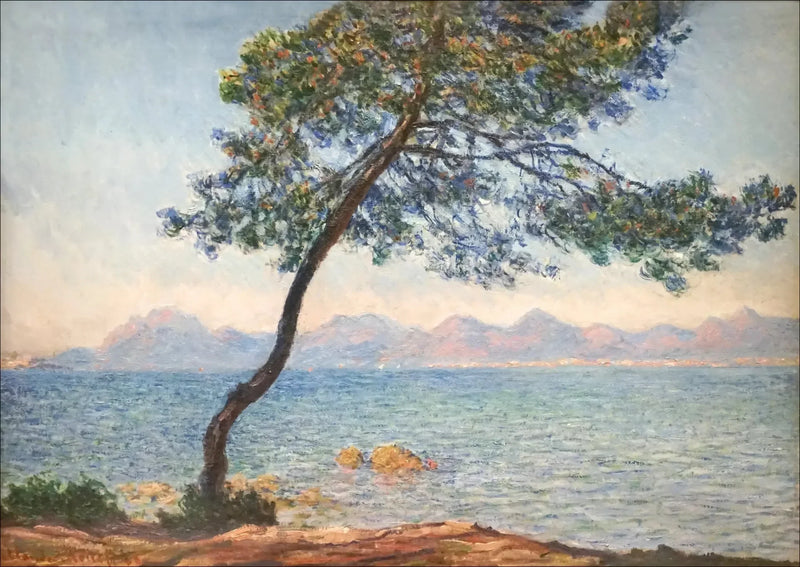 항균제 - Claude Monet