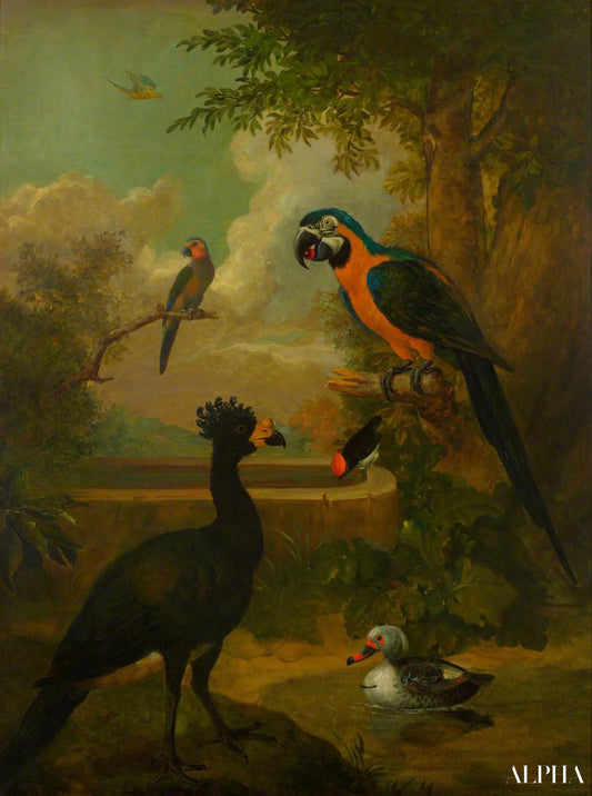 Aras et autres oiseaux dans un paysage - Tobias Stranover - Reproductions de tableaux et peintures haut de gamme