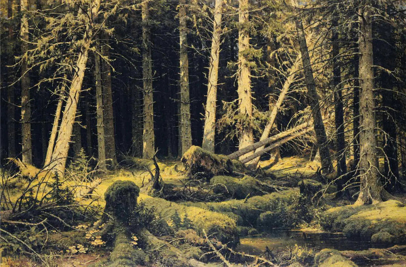 바람에 쓰러진 나무들 - 이반 치치킨

Source:
Arbres tombés par le vent - Ivan Chichkine