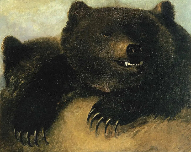 그리즐리 곰의 무기와 표정 - 조지 캐틀린

Source:
Armes et physionomie de l'ours grizzli - George Catlin