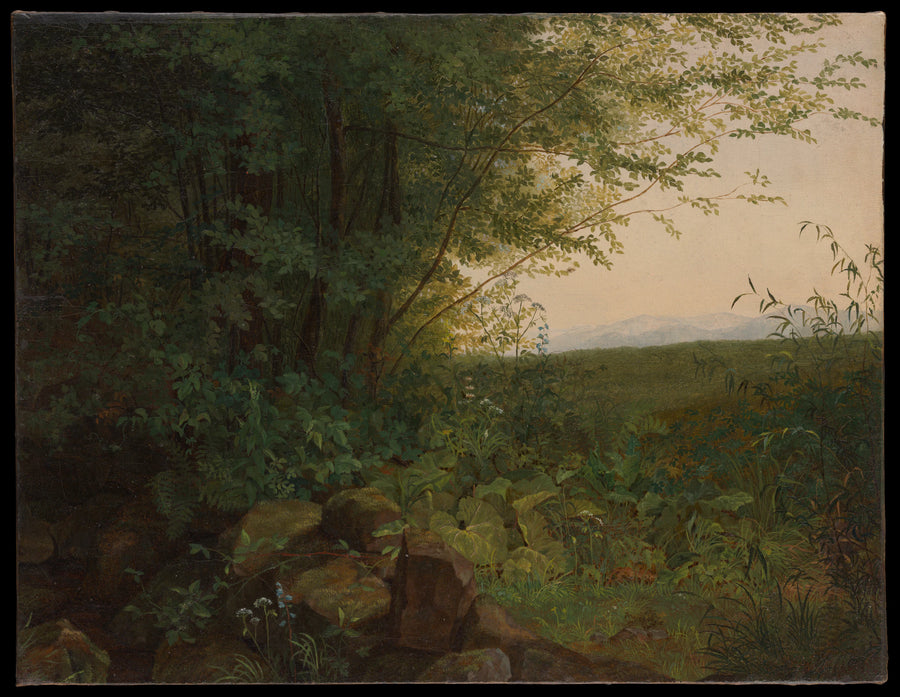 Au bord de la forêt - August Heinrich