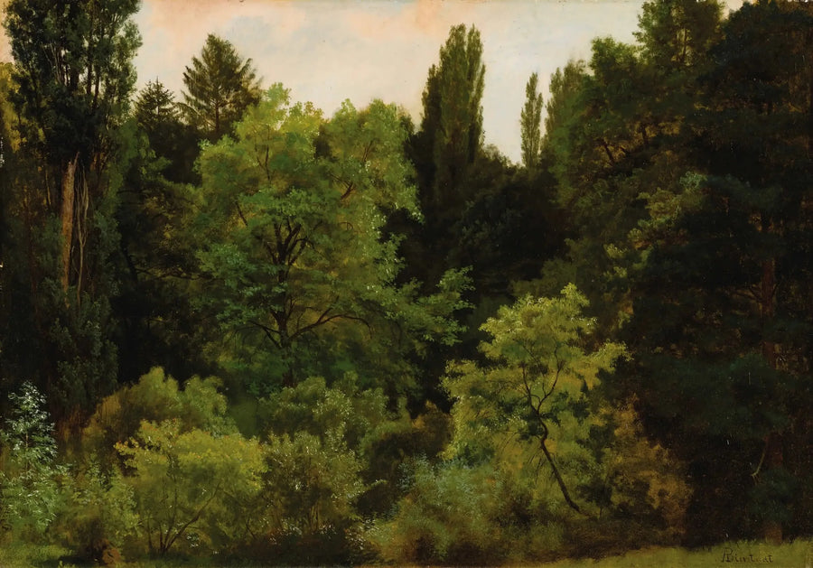 로키 산맥의 중심에서 - 알버트 비어슈타트

Source:
Au cœur des Rocheuses - Albert Bierstadt