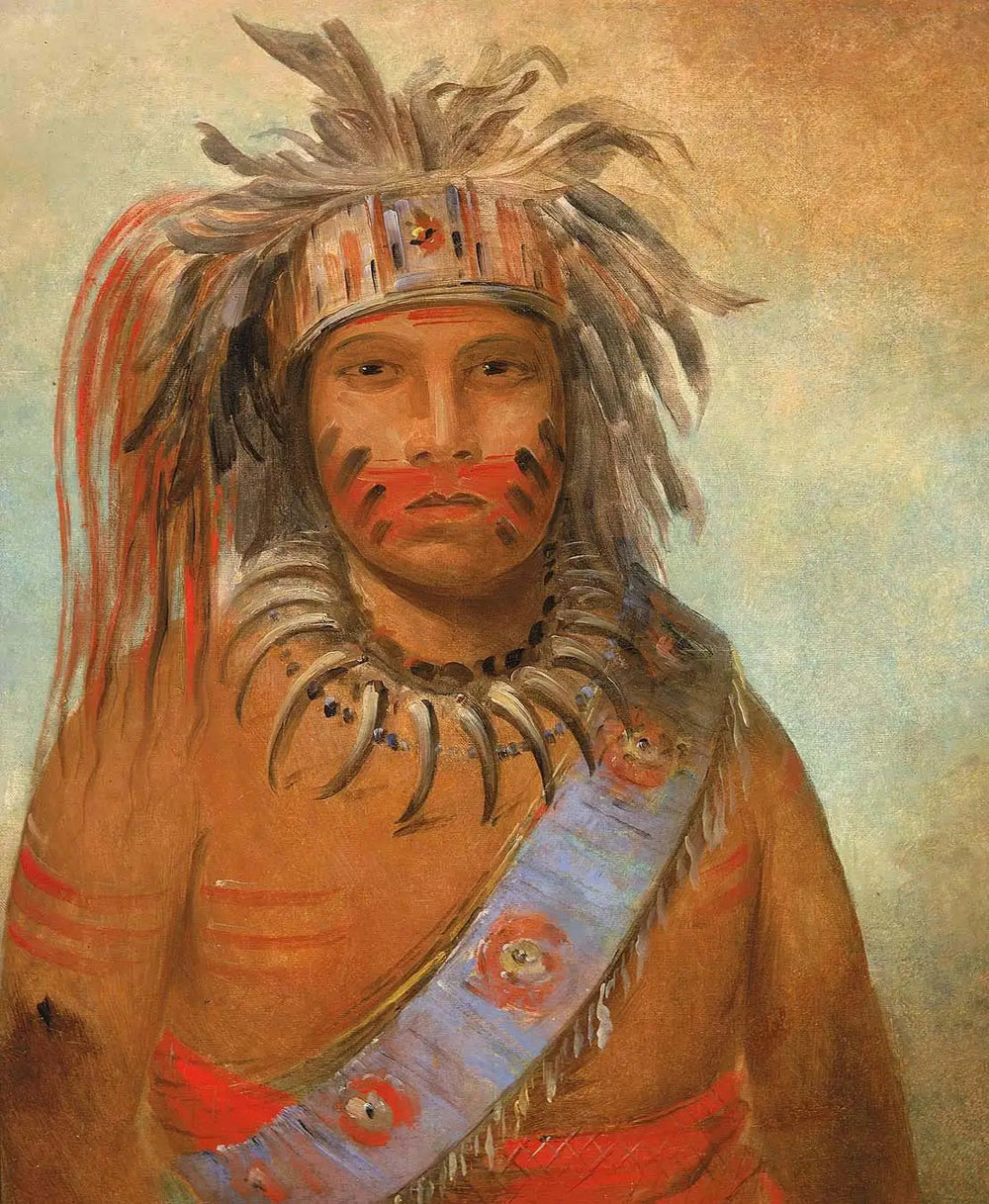 Au-nim-muck-kwa-um, oiseau de la tempête - George Catlin image 1 copie de tableau peinte à la main