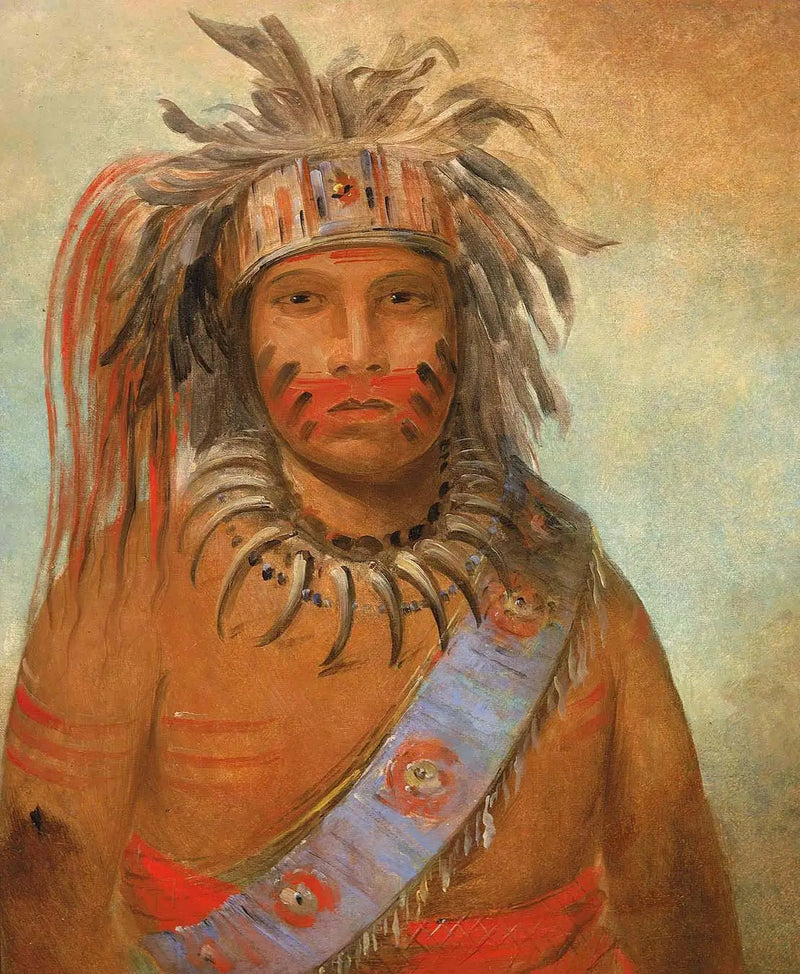 아누님 무크콤, 폭풍의 새 - 조지 캐틀린

Source:
Au-nim-muck-kwa-um, oiseau de la tempête - George Catlin