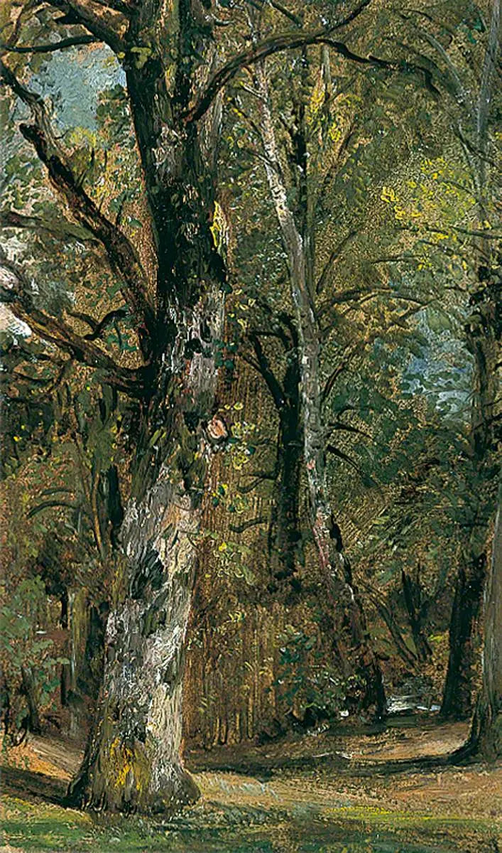 아베뉴 데 아르브 - 존 콘스터블

Source:
Avenue des Arbres - John Constable
