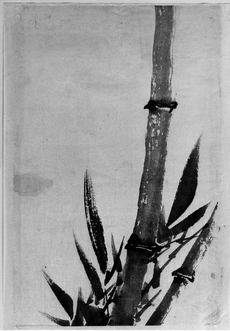 대나무 - 호쿠사이

Source:
Bambou - Hokusai