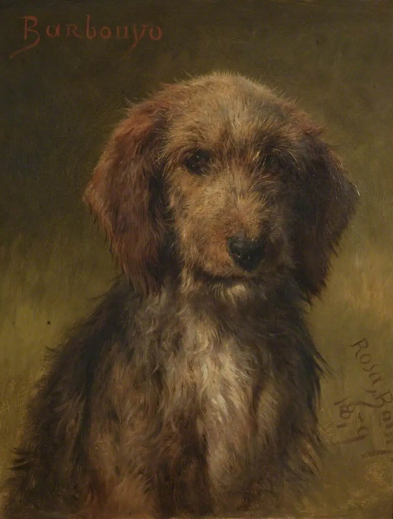 바르부요 - 로자 보네르