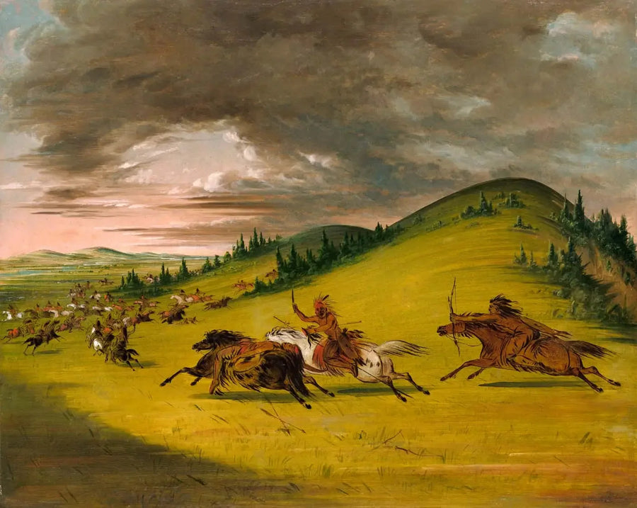 시우와 색 폭스의 전투 - 조지 캐틀린

Source:
Bataille entre Sioux et Sac et Fox - George Catlin