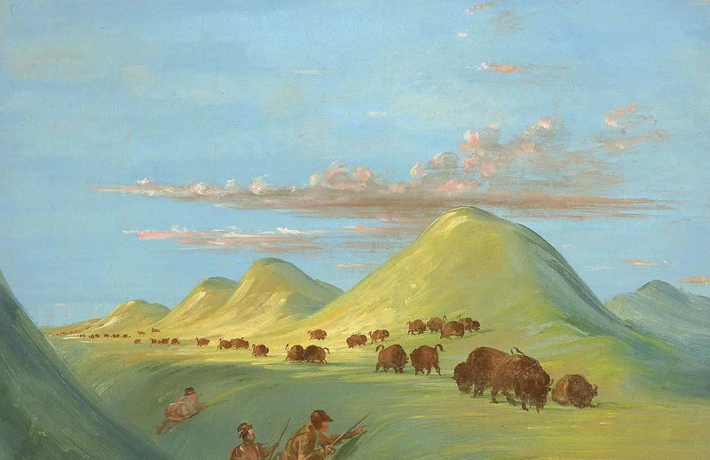 바티스트, 보가르드와 함께 미주리 강의 버팔로에 다가가는 나와 - 조지 캐틀린

Source:
Batiste, Bogard et moi approchant de Buffalo sur le Missouri - George Catlin