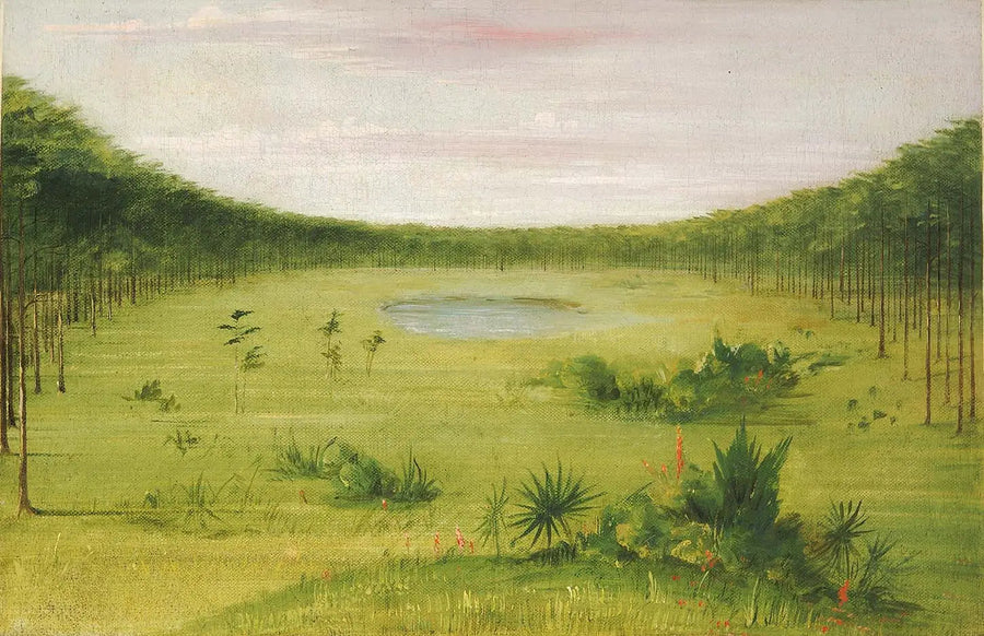 플로리다의 소나무 숲 속의 아름다운 사바네 - 조지 캐틀린

Source:
Belle savane dans les pinèdes de Floride - George Catlin