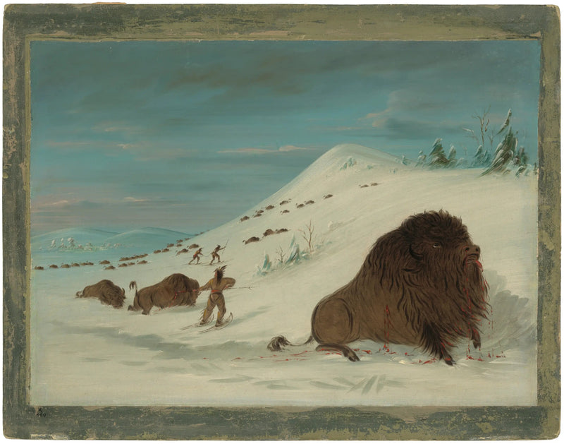 비손이 눈더미를 뛰어넘는 모습 - 수족 - 조지 캐틀린

Source:
Bison se lançant dans les congères - Sioux - George Catlin