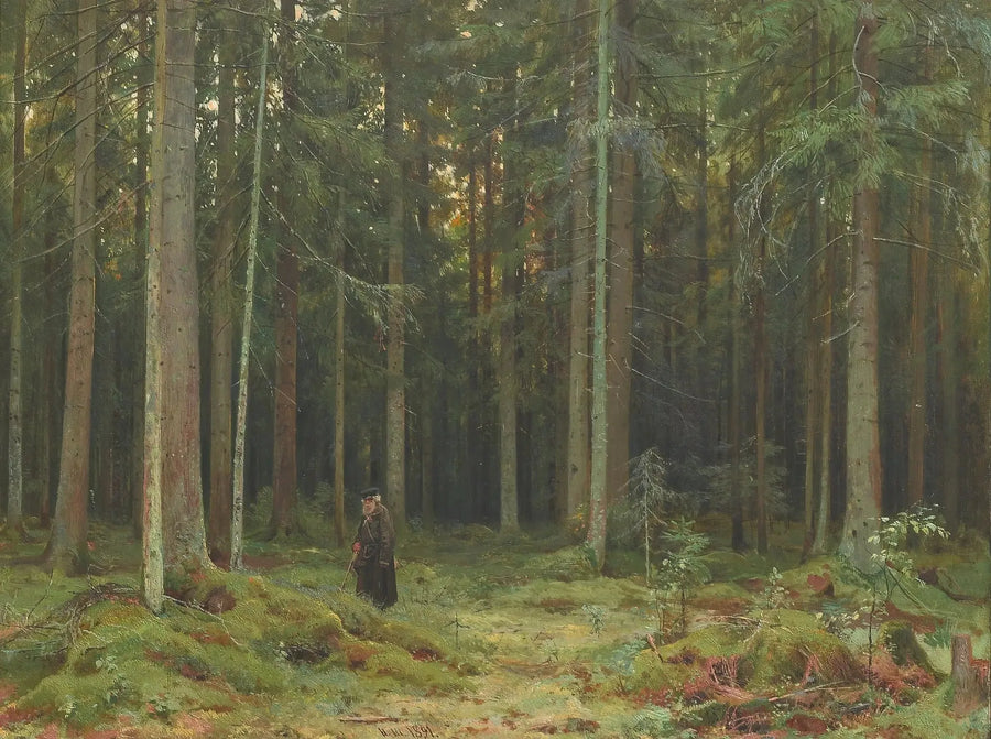 모르드비노바 백작의 숲. 표트르호프 - 이반 치치킨

Source:
Bois de la comtesse Mordvinova. Peterhof - Ivan Chichkine