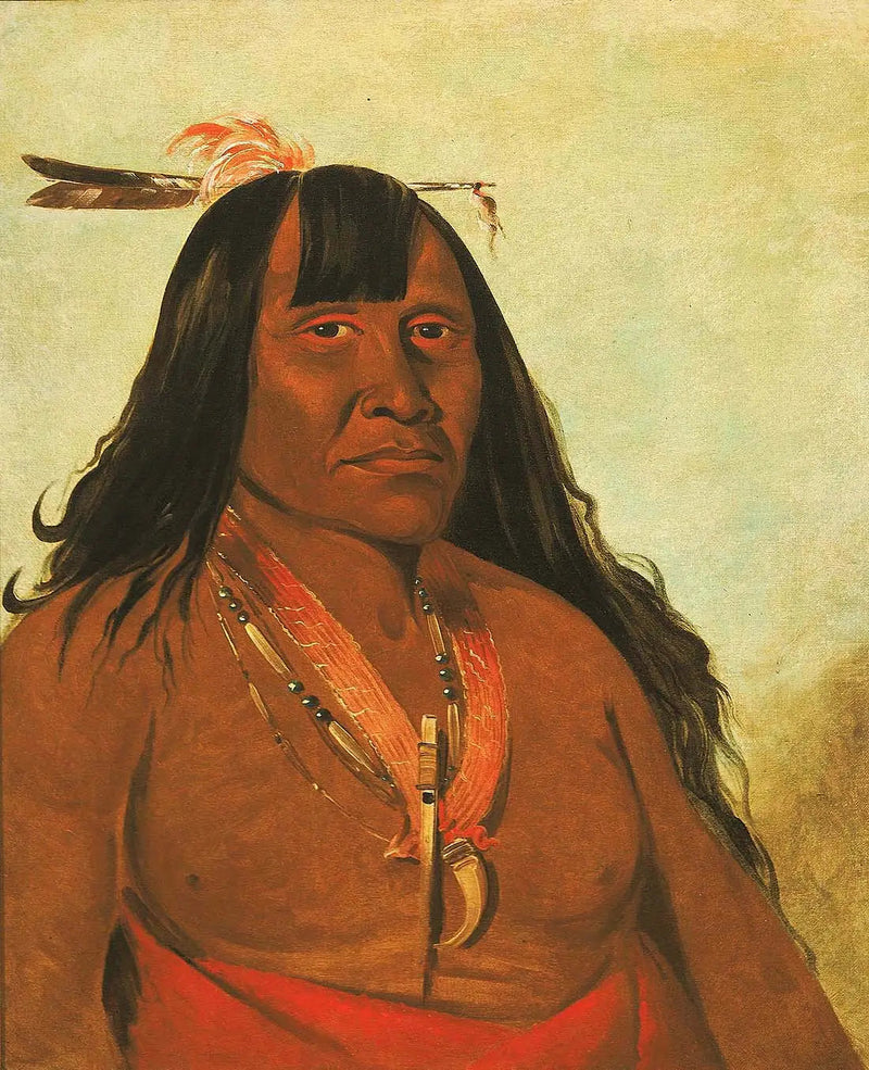 본성기, 뉴 파이어, 밴드의 리더 - 조지 캐틀린

Source:
Bón-són-gee, New Fire, un chef de bande - George Catlin
