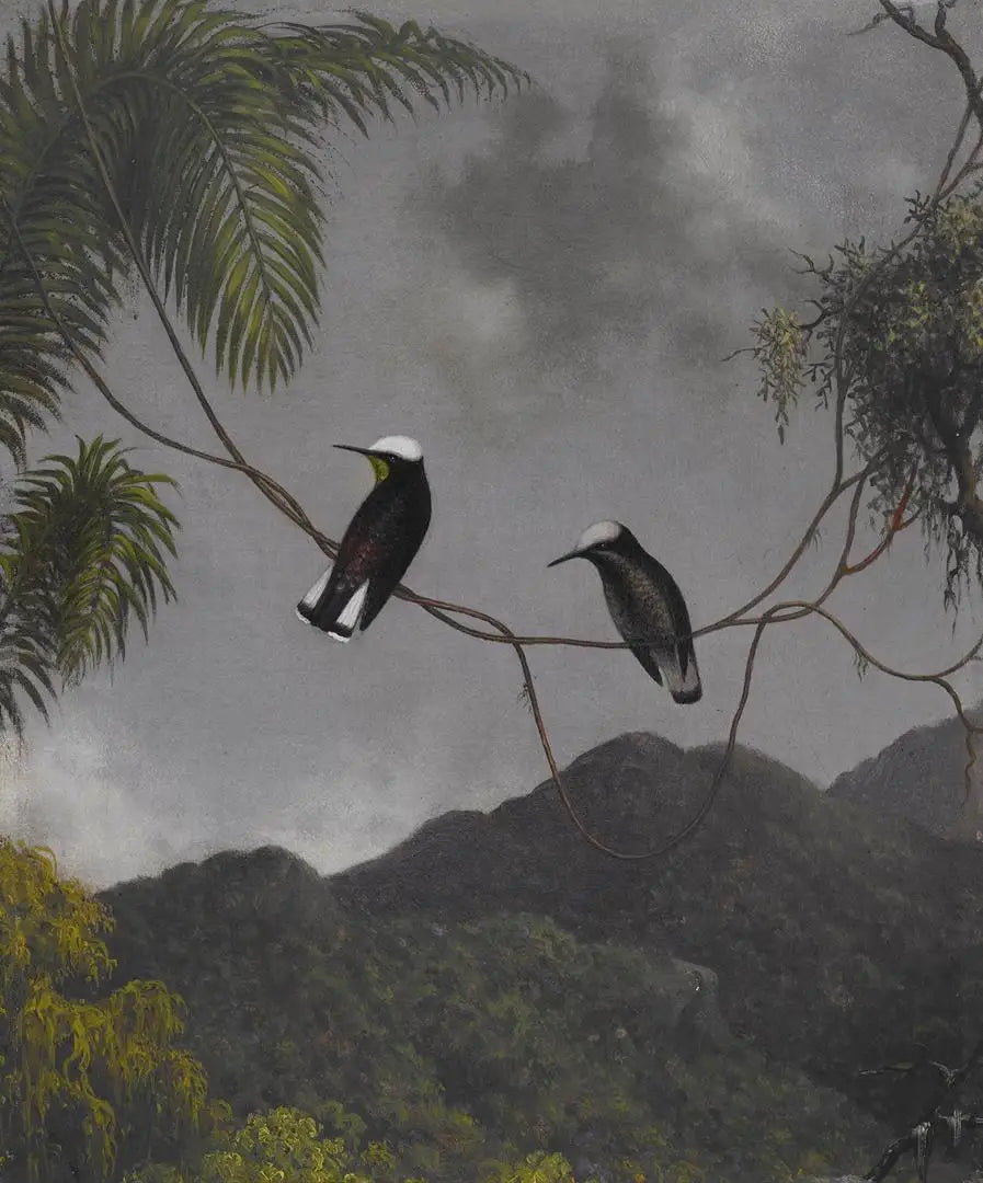 눈 덮인 모자 - 마틴 존슨 헤이드

Source:
Bonnet de neige - Martin Johnson Heade