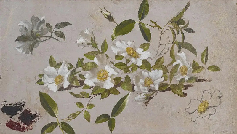체로키 장미 가지 - 마틴 존슨 헤이드

Source:
Branches de roses Cherokee - Martin Johnson Heade