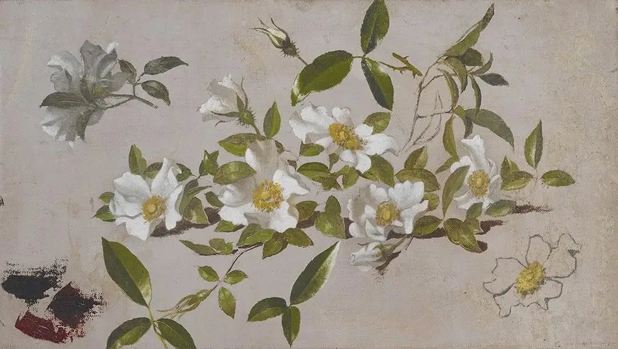 체로키 장미 가지 - 마틴 존슨 헤이드

Source:
Branches de roses Cherokee - Martin Johnson Heade