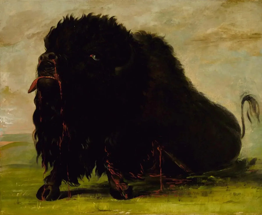 죽어가는 버팔로, 화살에 맞다 - 조지 캐틀린

Source:
Buffle mourant, touché par une flèche - George Catlin