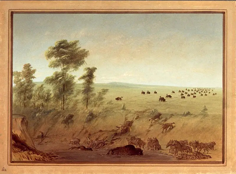 버팔로와 늑대의 매장 - 조지 캐틀린

Source:
Buffles et loups embourbés - George Catlin