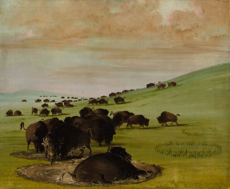수렁에 빠진 수컷 버팔로 - 조지 캐틀

Source:
Buffles mâles dans un bourbier - George Catlin