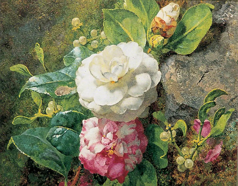 카멜리아 - 앙리 판탱-라투르

Source:
Camélias - Henri Fantin-Latour