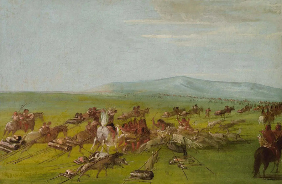 이동하는 코맨치 캠프, 길 위의 개 싸움 - 조지 캐틀린

Source:
Campement Comanche en mouvement, combat de chiens en route - George Catlin