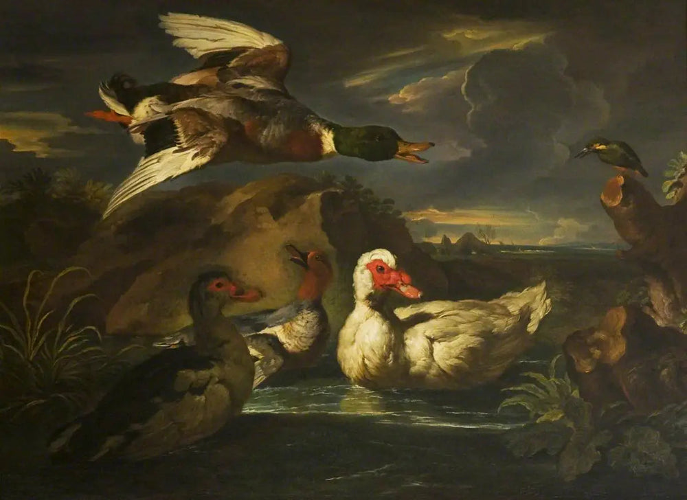 Canards sauvages avec martin-pêcheur - Melchior de Hondecoeter image 1 reproduction de peinture à l’huile