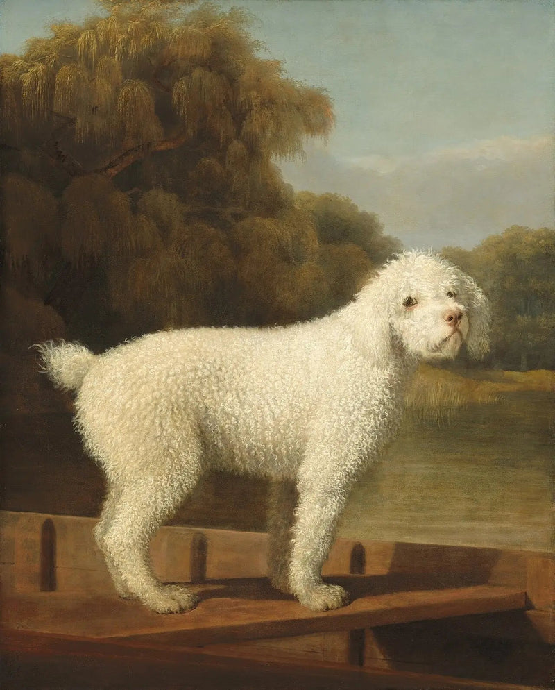 푸들 흰색이 있는 펀트 - 조지 스텁스

Source:
Caniche blanc dans un Punt - George Stubbs