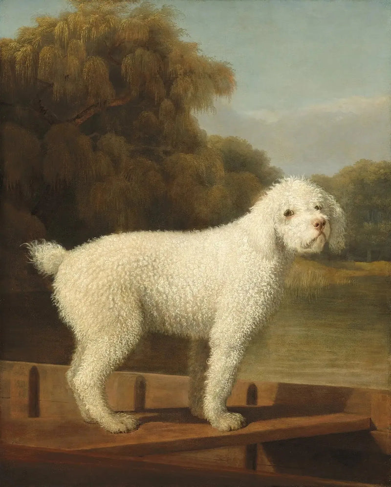 푸들 흰색이 있는 펀트 - 조지 스텁스

Source:
Caniche blanc dans un Punt - George Stubbs
