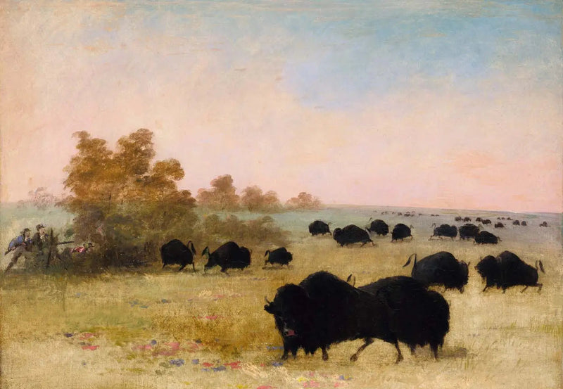 캣린 앤 파티 스토킹 버팔로, 하트 미주리 - 조지 캣린

Source:
Catlin et Party Stalking Buffalo, Haut-Missouri - George Catlin