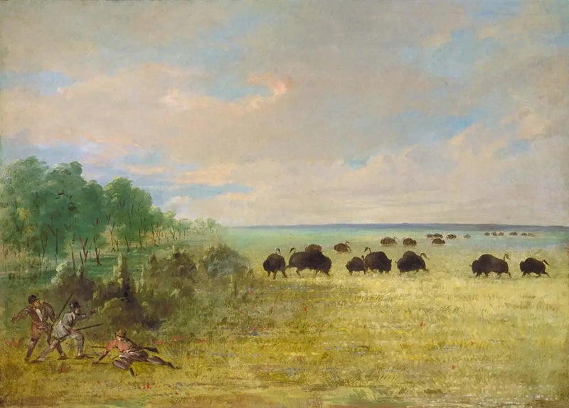 캣린 앤 파티가 텍사스에서 버팔로를 사냥하다 - 조지 캣린

Source:
Catlin et Party traquent Buffalo au Texas - George Catlin