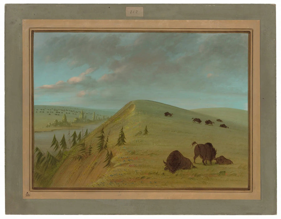 시더 블러프스 - 조지 캐틀린

Source:
Cedar Bluffs - George Catlin