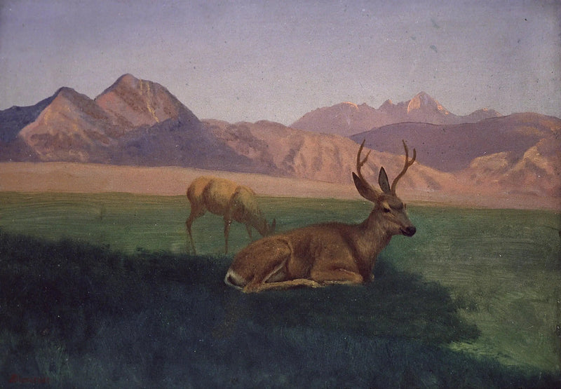 사슴 - 알버트 비어슈타트

Source:
Cerf - Albert Bierstadt
