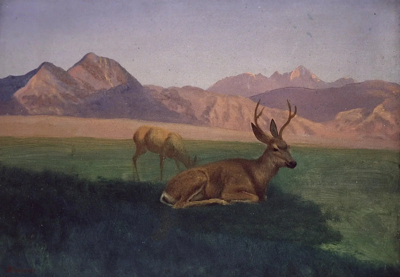 사슴 - 알버트 비어슈타트

Source:
Cerf - Albert Bierstadt